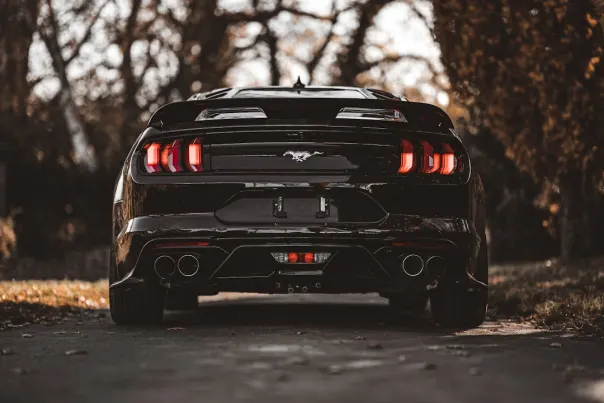 Casino Posh Bingo Android/iOS Forrit